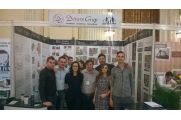 Project Iunie 2015